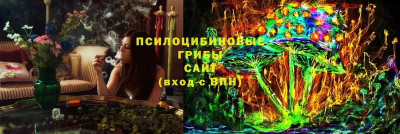 ОМГ ОМГ вход  купить наркотик  Уяр  Галлюциногенные грибы Cubensis 